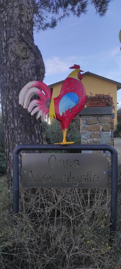 Casa Montalgallo ลูชินญาโน ภายนอก รูปภาพ